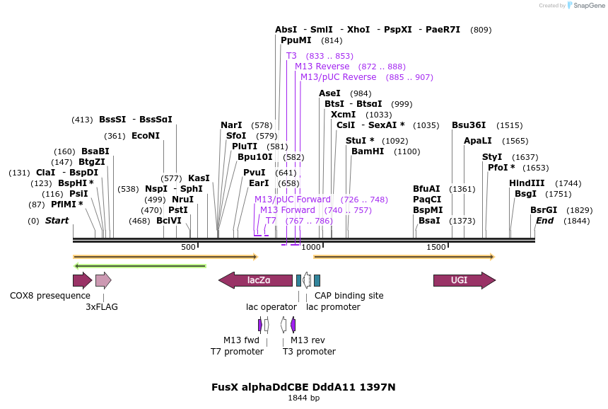 434587_map
