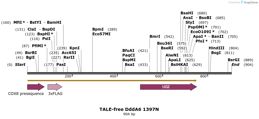 434595_map