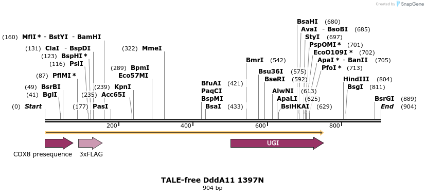 434597_map