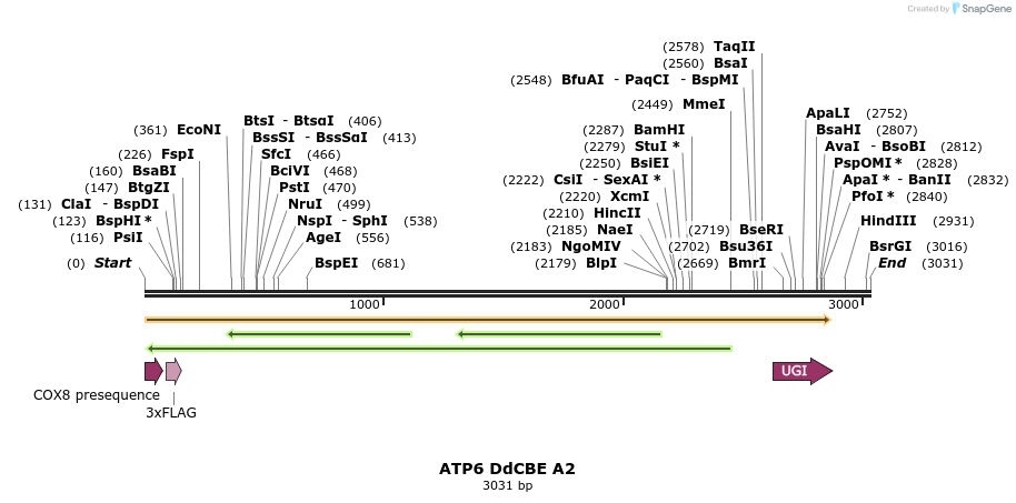 434601_map