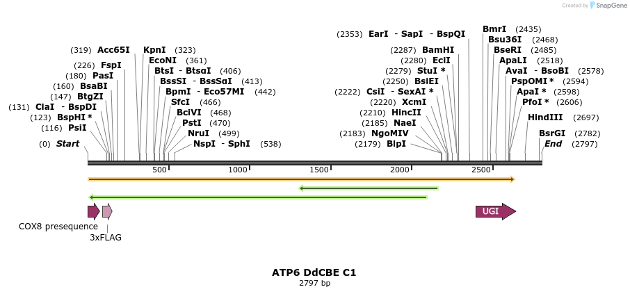 434603_map