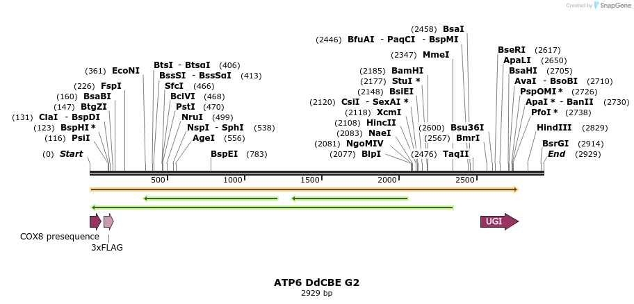 434609_map