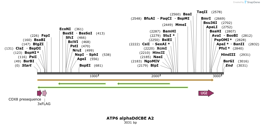 434617_map