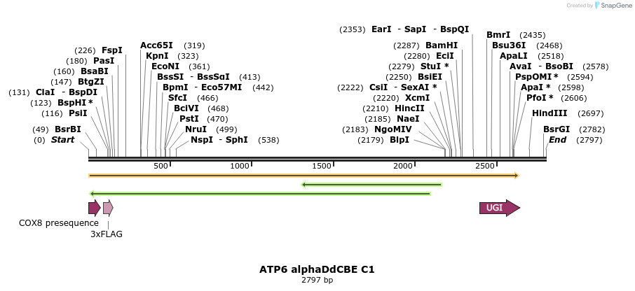 434619_map