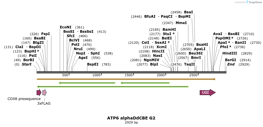 434625_map