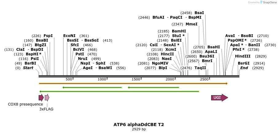 434629_map