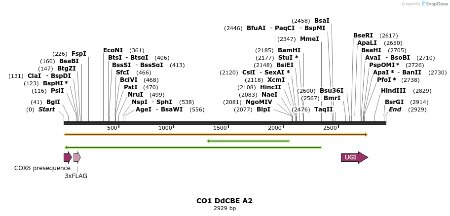 434633_map