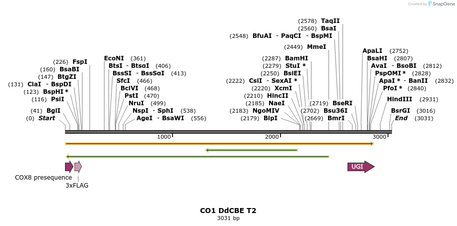 434637_map