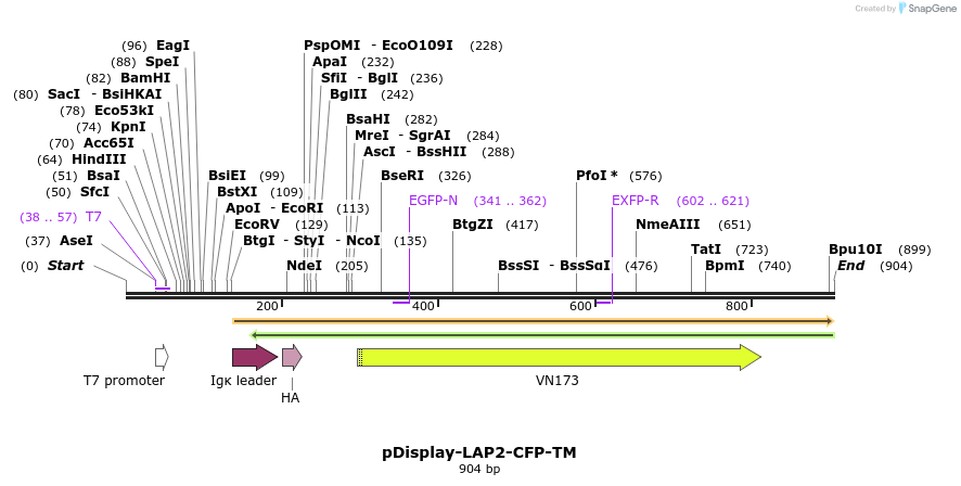 43466_map