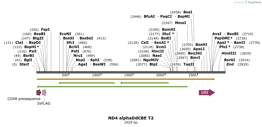 434677_map