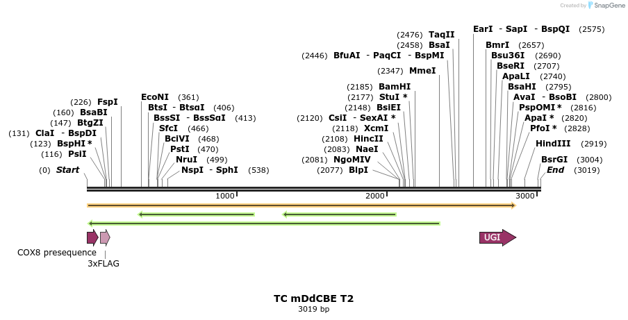 434681_map