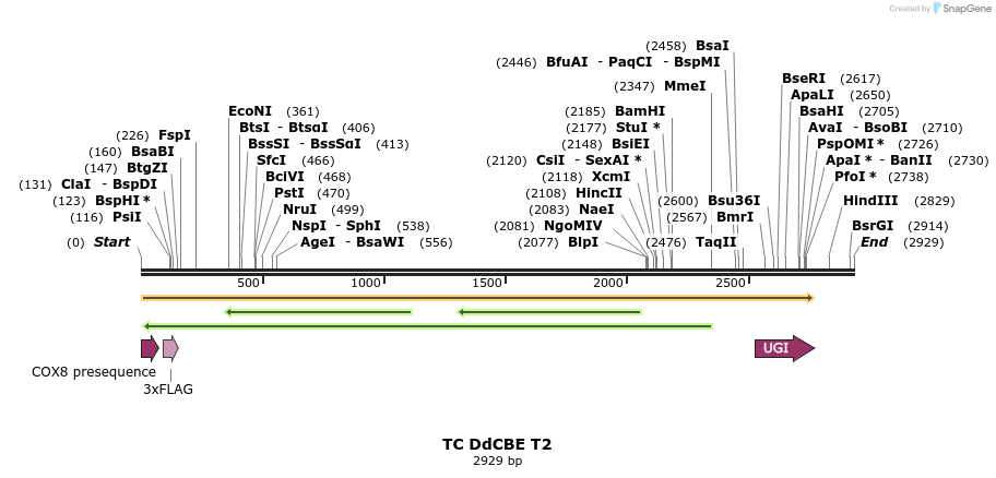 434685_map