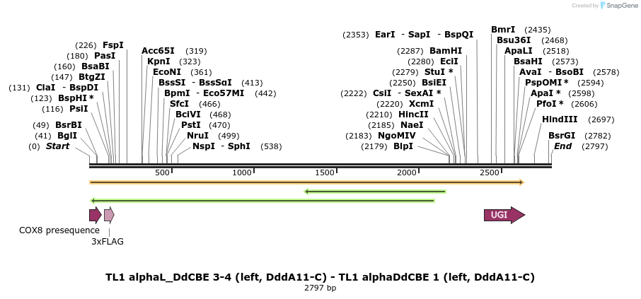 434703_map
