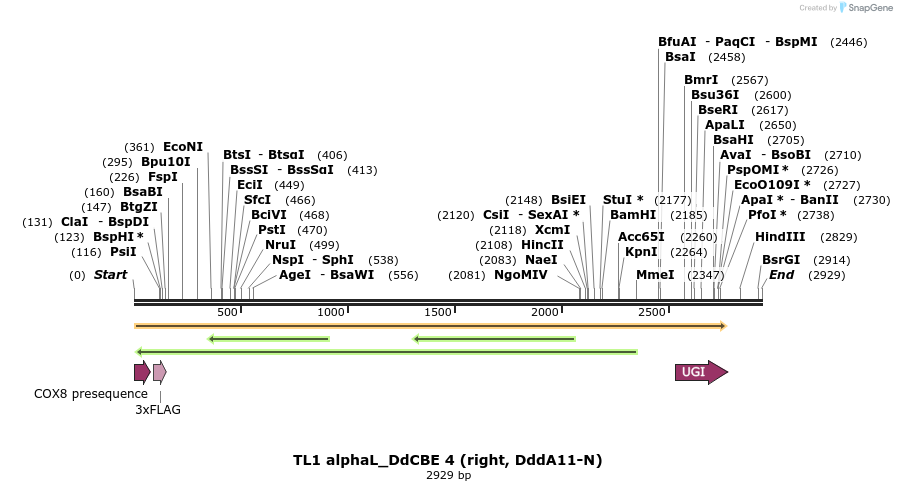 434705_map