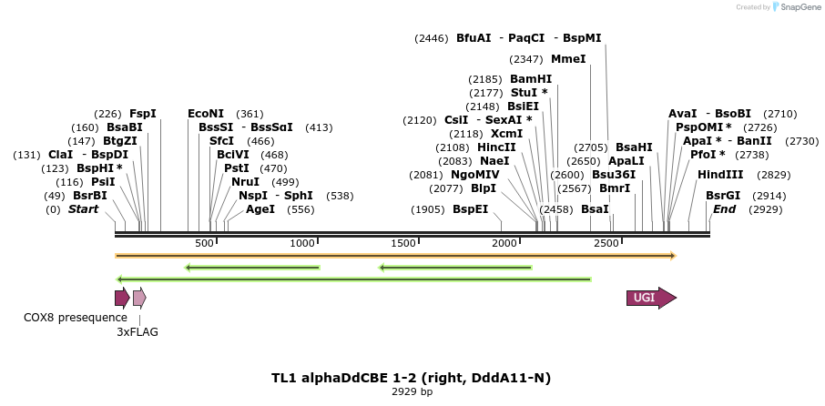 434707_map