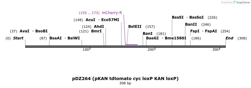 43471_map