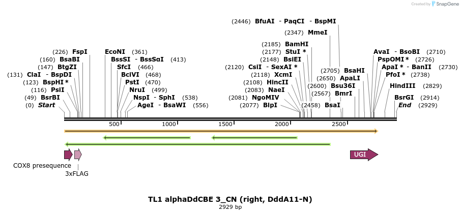 434713_map