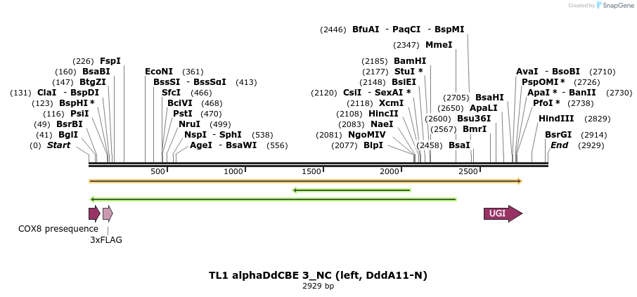 434715_map