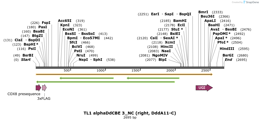 434717_map