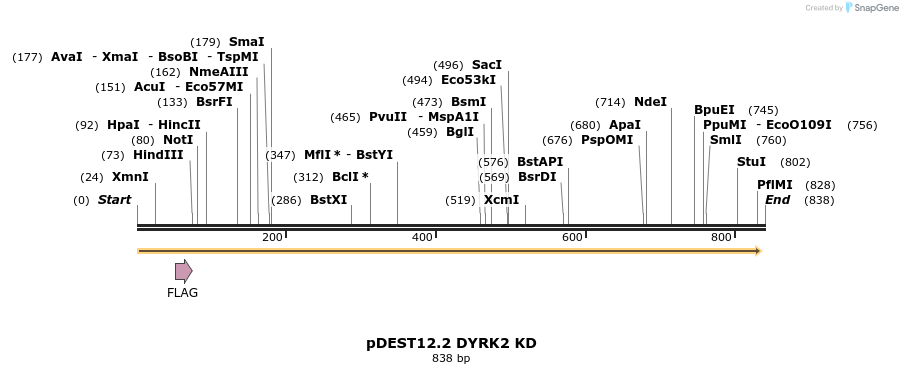 43475_map