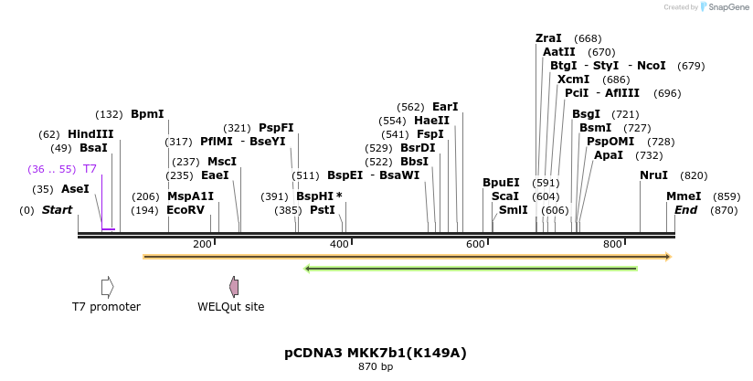 43477_map