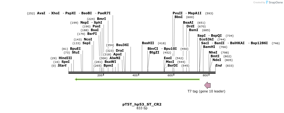 43495_map