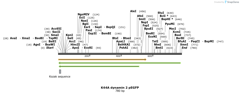 43500_map