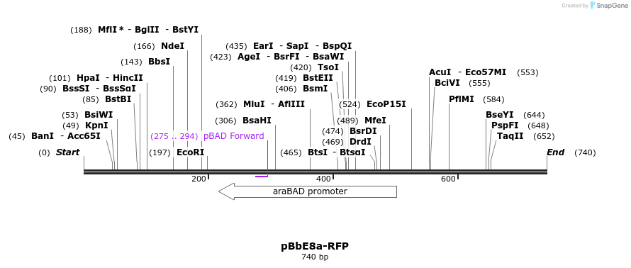 43503_map