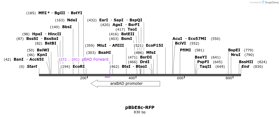 43506_map