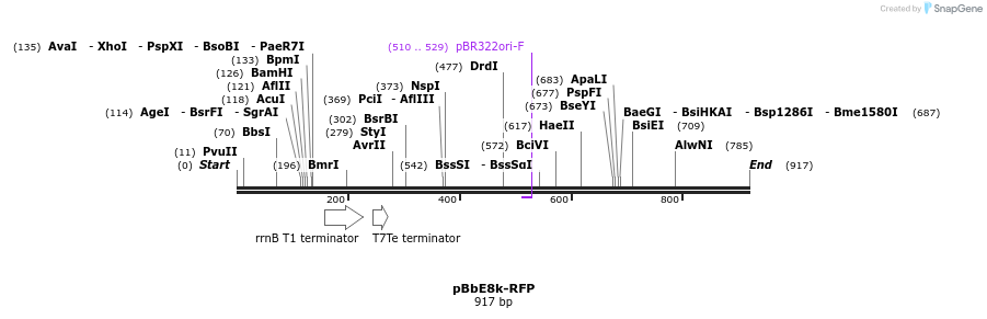 43507_map