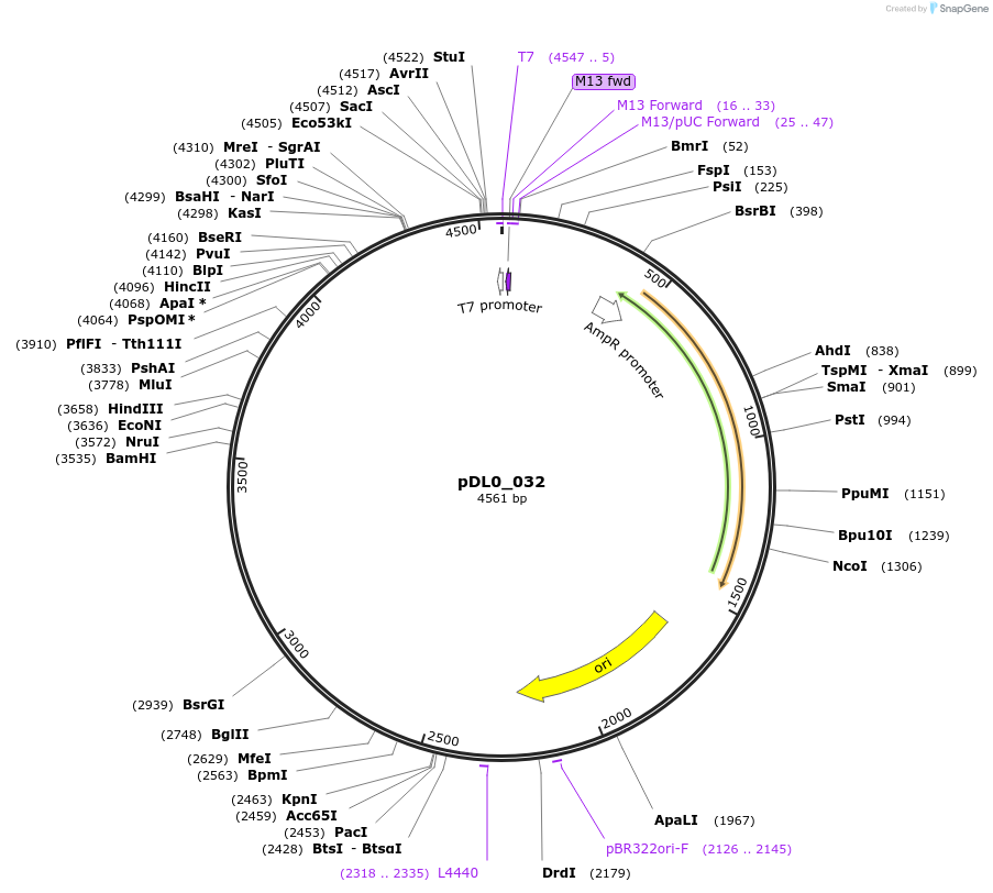 435101_map