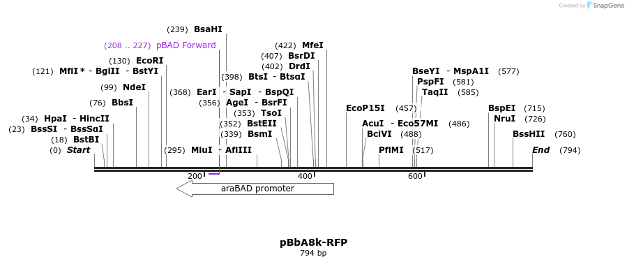 43514_map