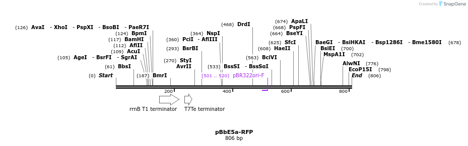 43521_map