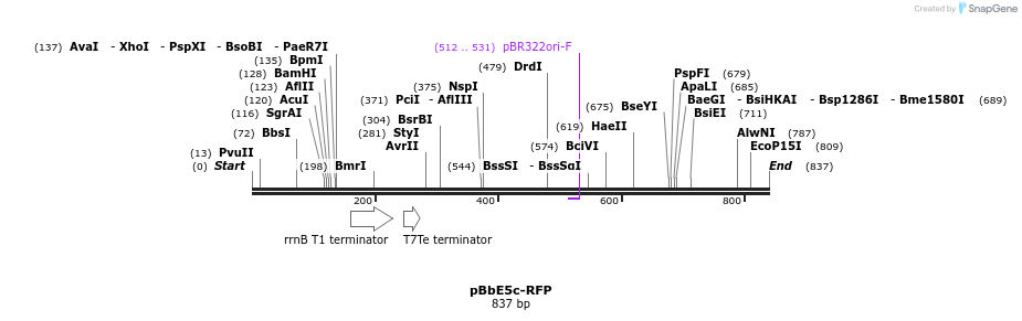 43523_map