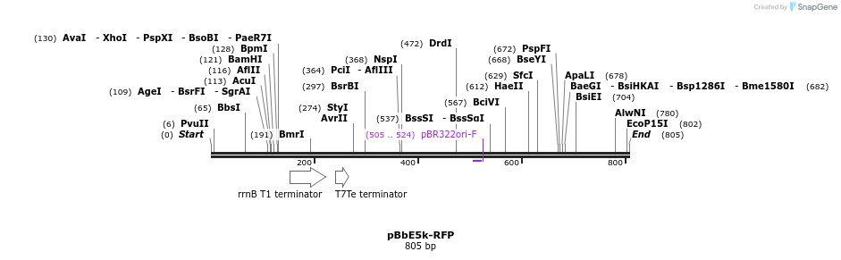 43525_map