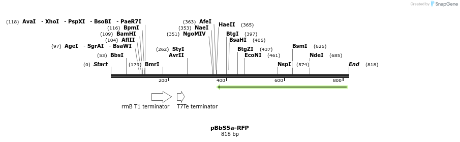43533_map