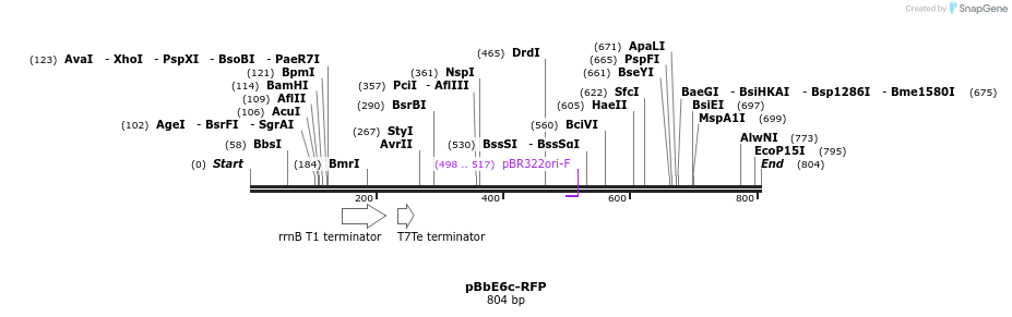 43540_map