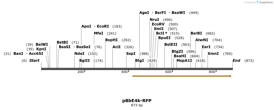 43561_map