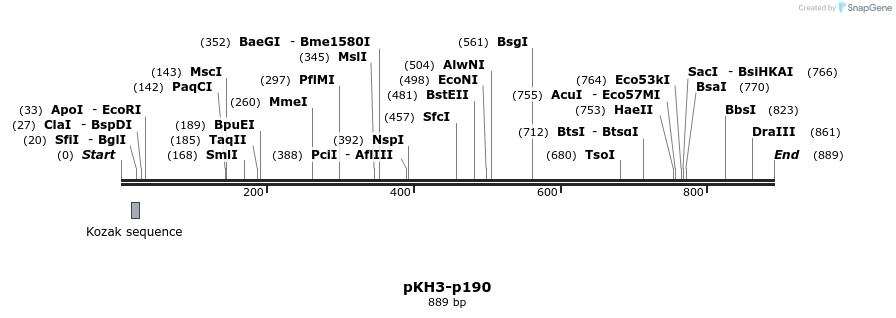 43575_map