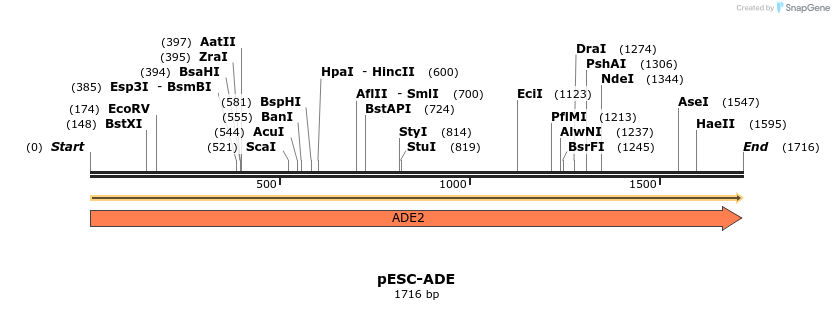 435757_map
