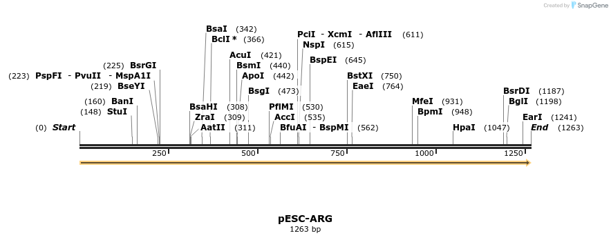 435759_map