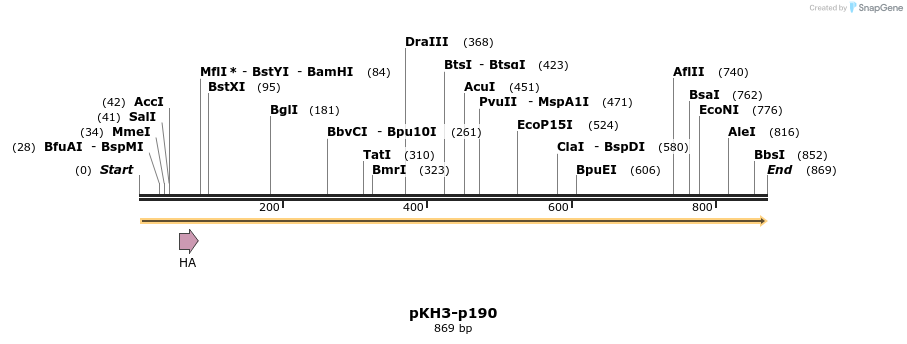 43576_map