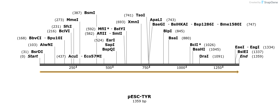 435765_map