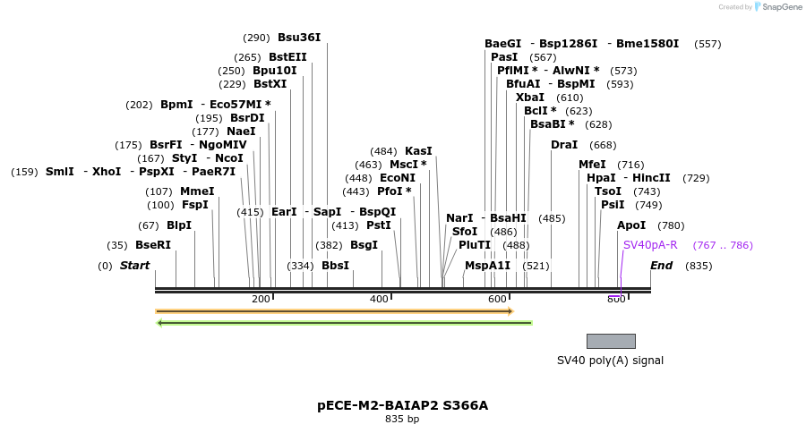 43592_map