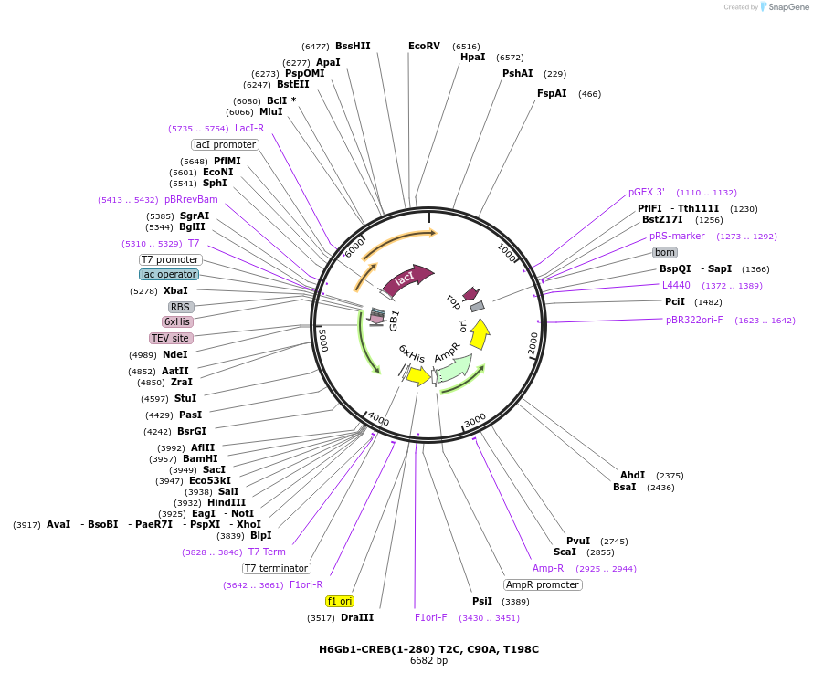436006_map
