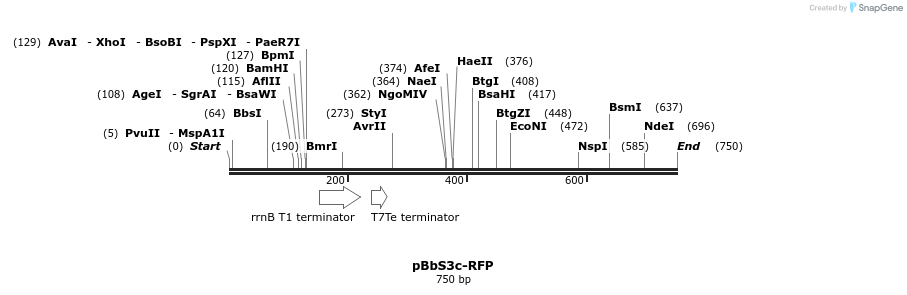 43601_map
