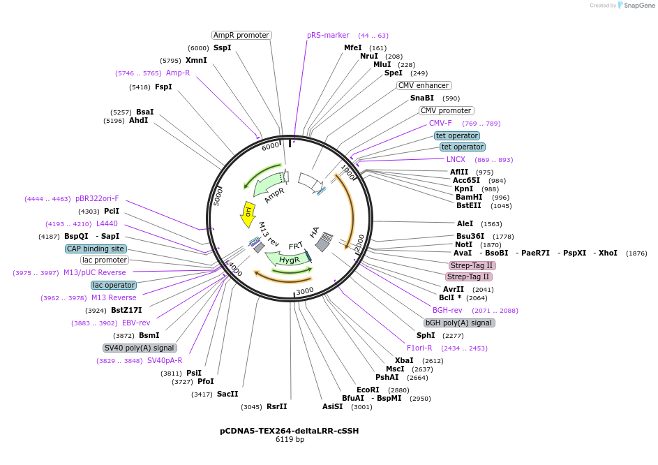 436015_map