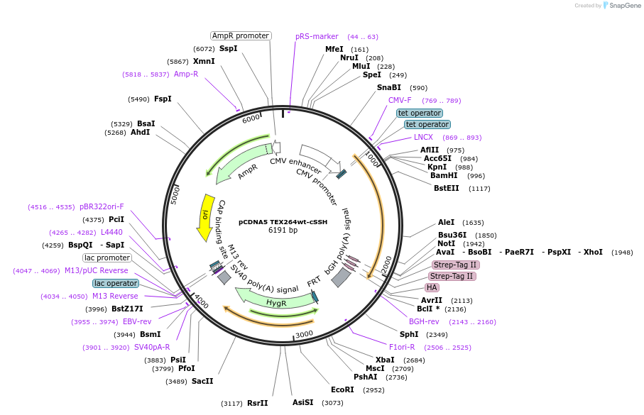 436019_map