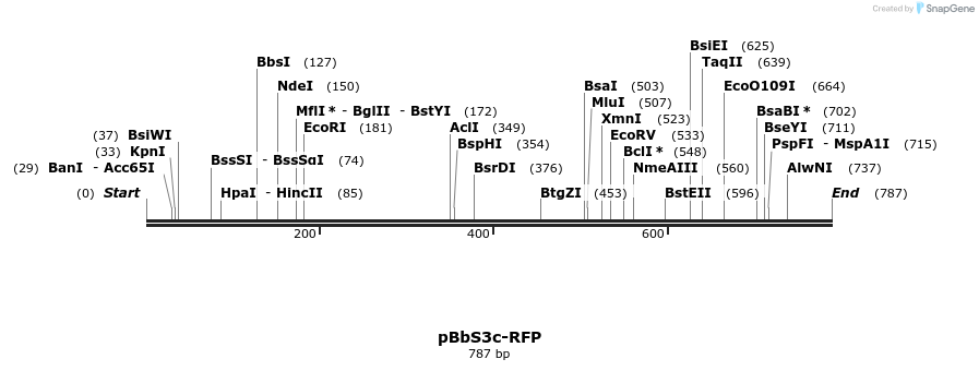 43602_map