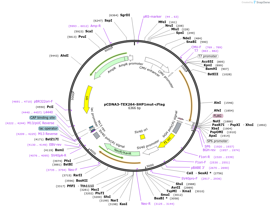 436021_map